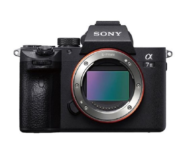 Sony Mirrorless Cameras For Professional Photography